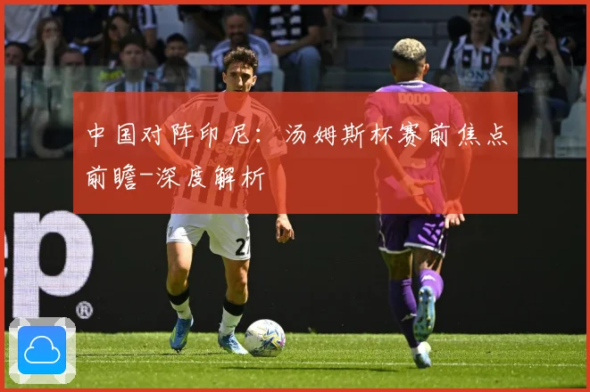 中国对阵印尼：汤姆斯杯赛前焦点前瞻-深度解析