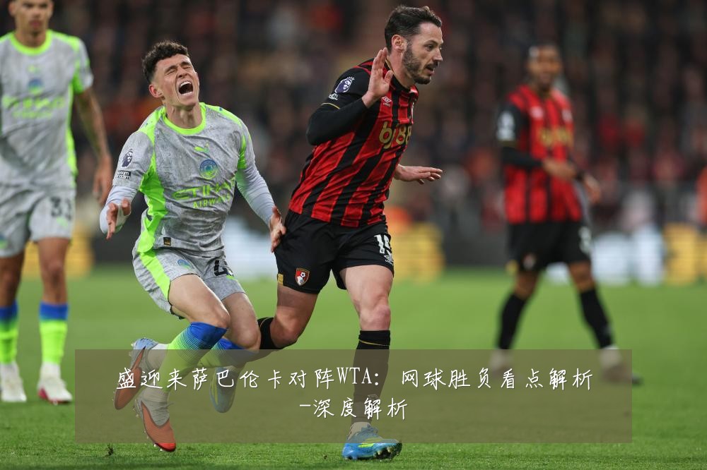 盛迎来萨巴伦卡对阵WTA:网球胜负看点解析-深度解析